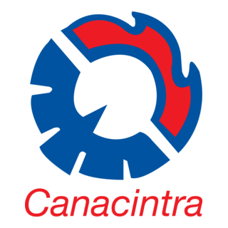 Ally Logo